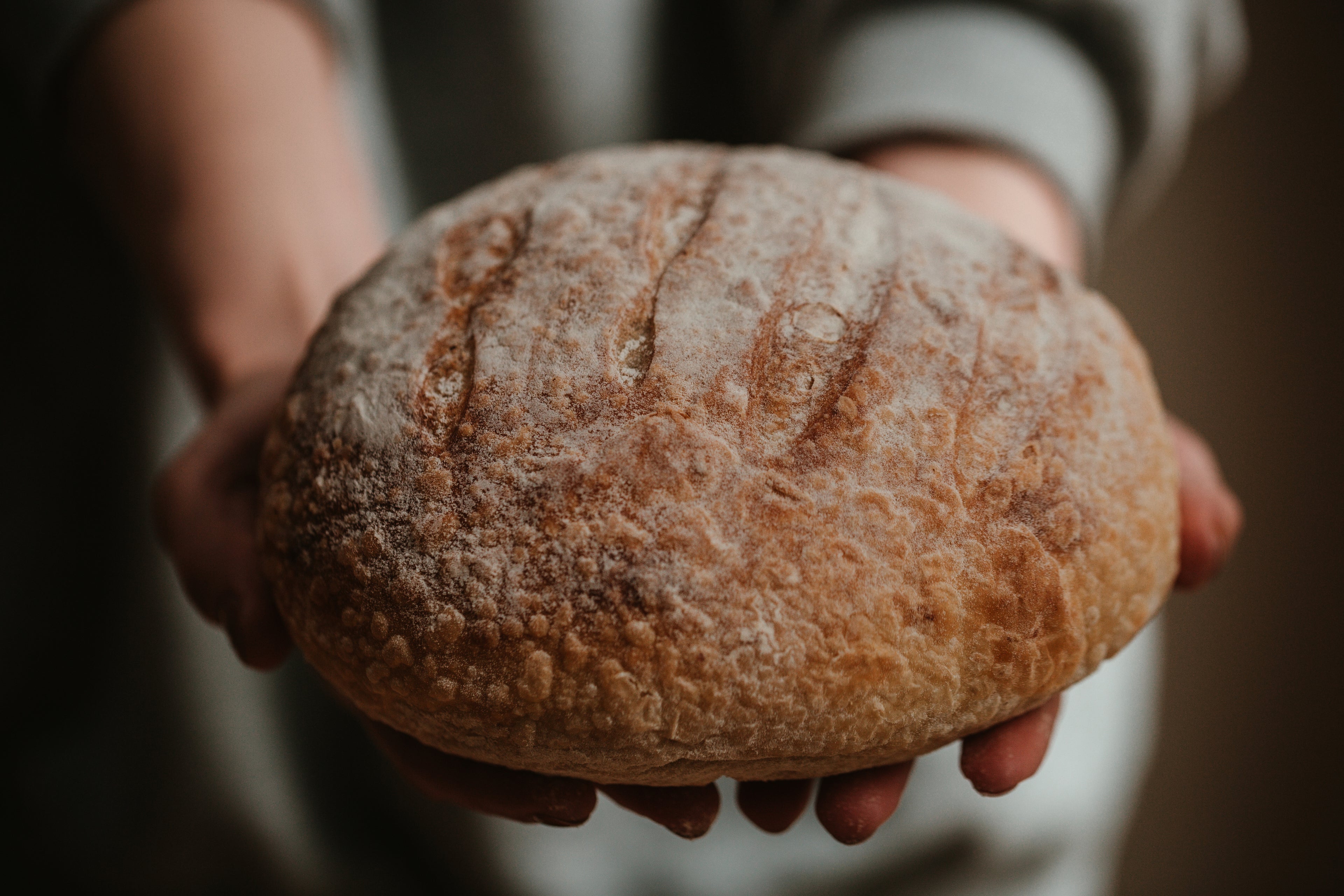 fresh-bread-close-up